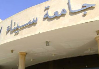 جامعة سيناء